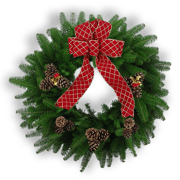 Victoria Wreath with fresh Balsam greenery, gold diamond-patterned red bow, triple pinecones, gold holly, and red berries.