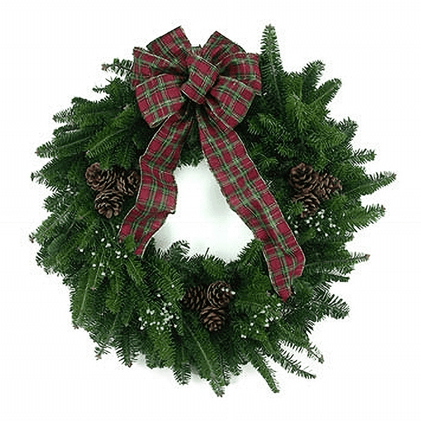 Celtic Christmas Wreath with fresh Balsam greenery, red and green plaid tartan bow, baby's breath, and triple pinecones.