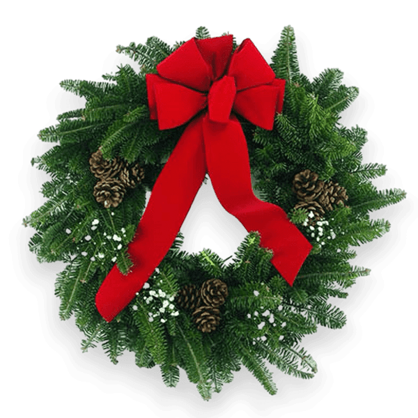 Country Elegance Wreath with fresh Balsam greenery, 6-loop red bow, and triple pinecones.