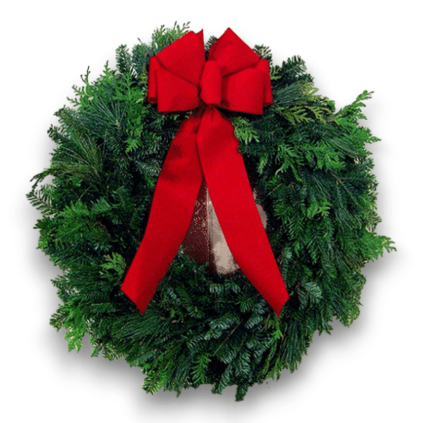 Cedar Pine Wreath with mixed boughs of white pine, cedar, and balsam, and a 6-loop red bow.