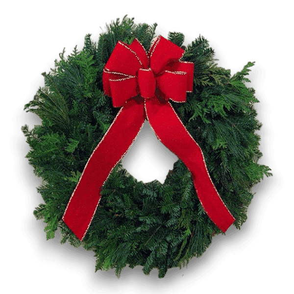 Timber Trail Wreath with mixed boughs of white pine, cedar, and balsam, with a red gold-threaded bow.