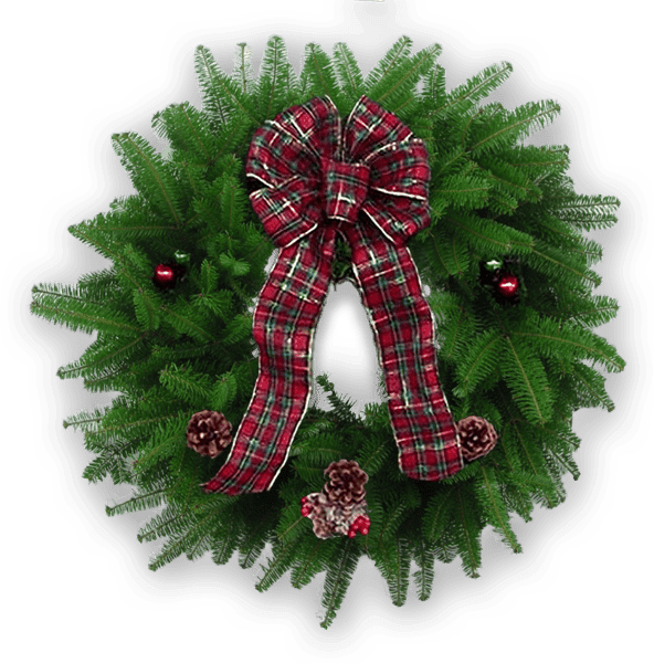 Bah Humbug Wreath with fresh Balsam greenery, red and green tartan plaid bow, red glass balls, and pinecones.