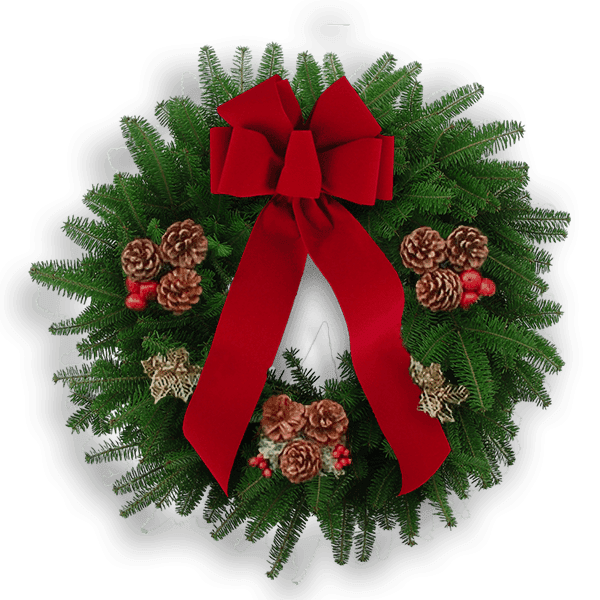 Fresh Wreaths - Gold Holly Elite Wreath - with Red Bow, Pinecones, and Red Crabapples